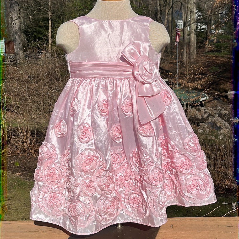 Lucious pink dress 4/4T Bonnie Jean